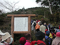20050131104538_thumb.jpg