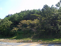 CIMG0558_thumb.jpg