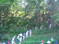 CIMG0562_thumb.jpg