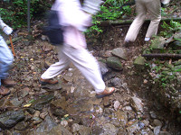 CIMG2356_thumb.jpg
