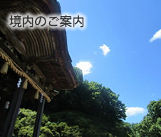 banner_keidai01